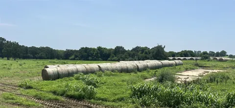 County Road 3358