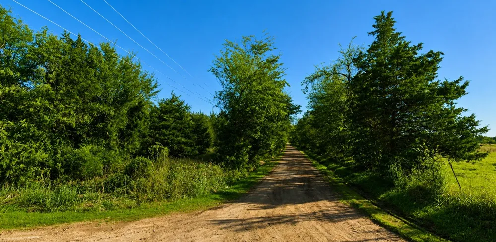 County Road 3358 Saltillo, TX 75478