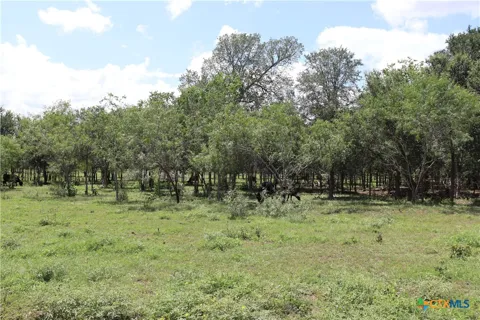 1220 Brushy Branch Road