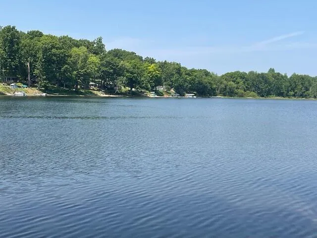8771 Chain O Lakes Drive Hope Township, MI 49046