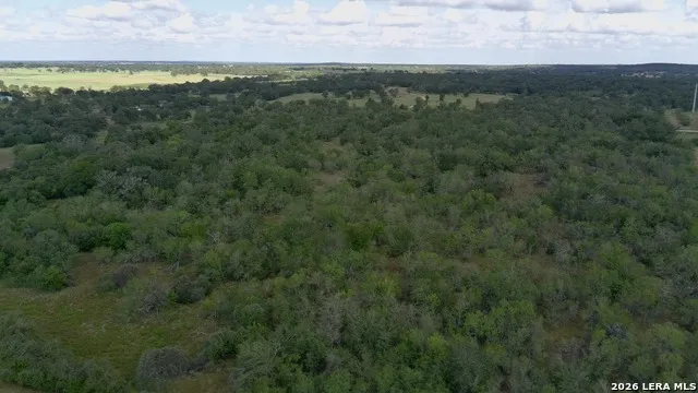 39 AC Dowdy Seguin, TX 78155