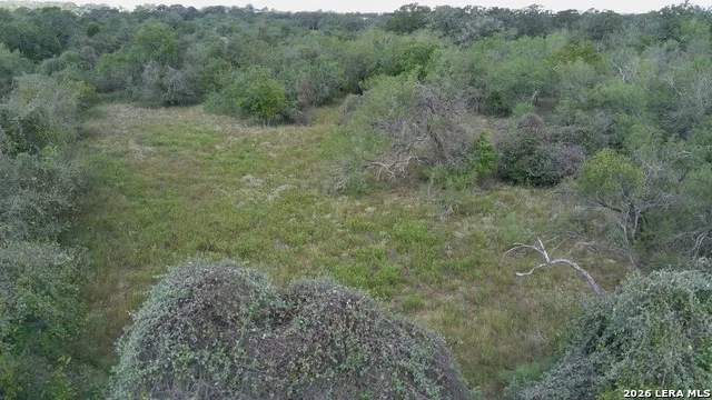 39 AC Dowdy Seguin, TX 78155