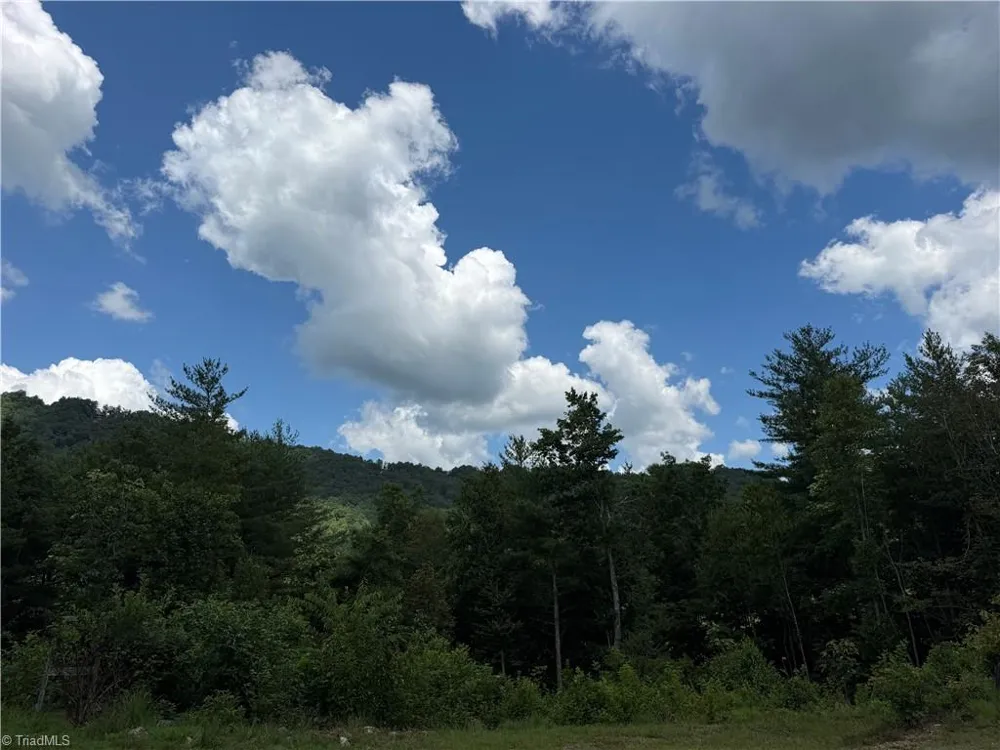 2668 Reedy Branch Road Purlear, NC 28665