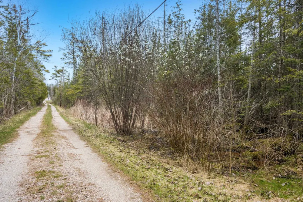 6386 Tricks Way Elk Rapids Township, MI 49648
