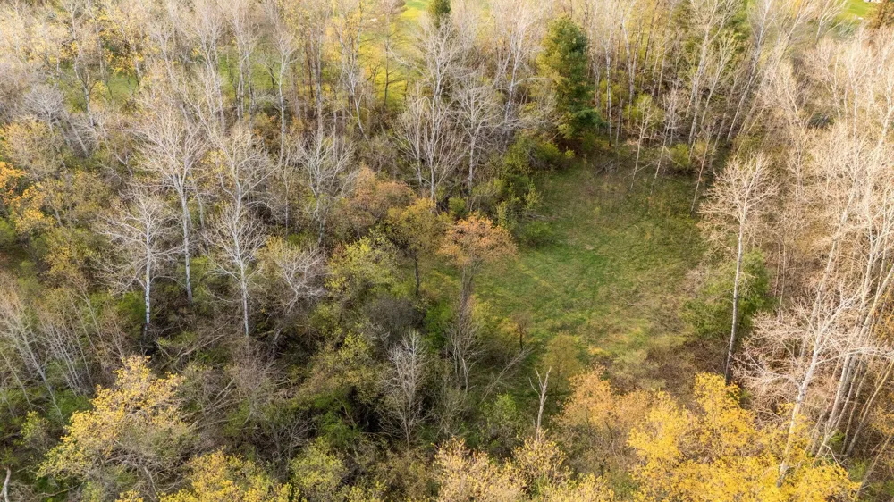 402 S Division Street Kearney Township, MI 49615