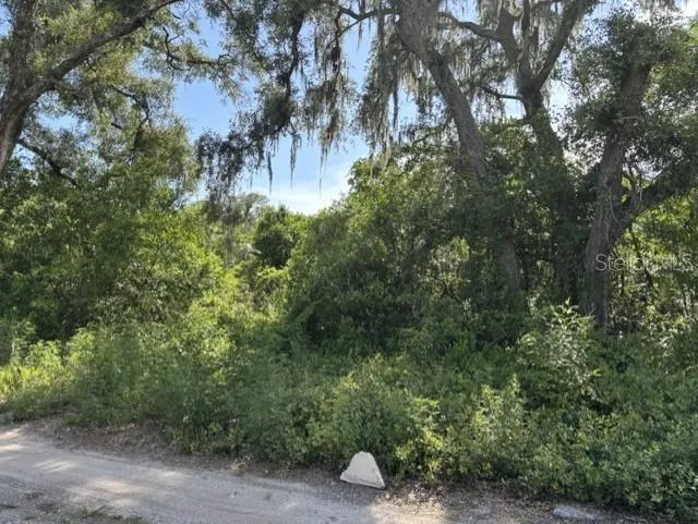 7157 GLORY ROAD Zephyrhills, FL 33540