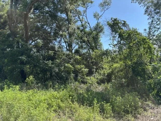 7157 GLORY ROAD Zephyrhills, FL 33540