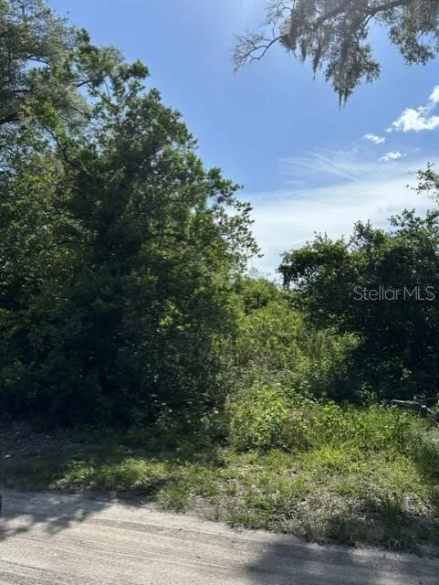 7157 GLORY ROAD Zephyrhills, FL 33540