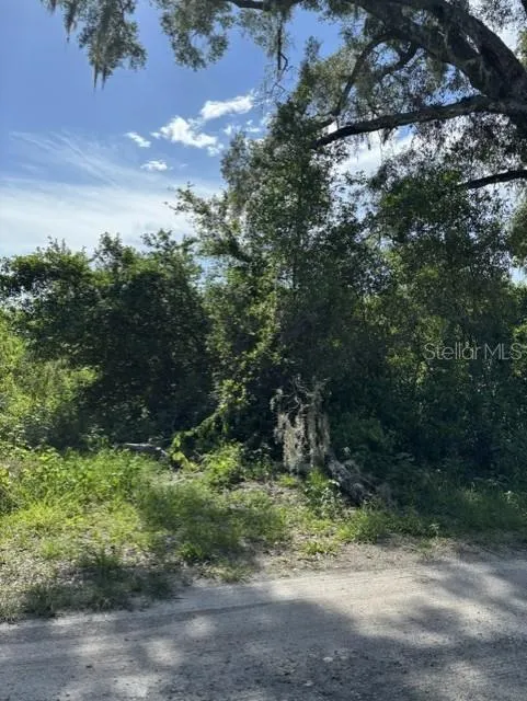 7157 GLORY ROAD Zephyrhills, FL 33540