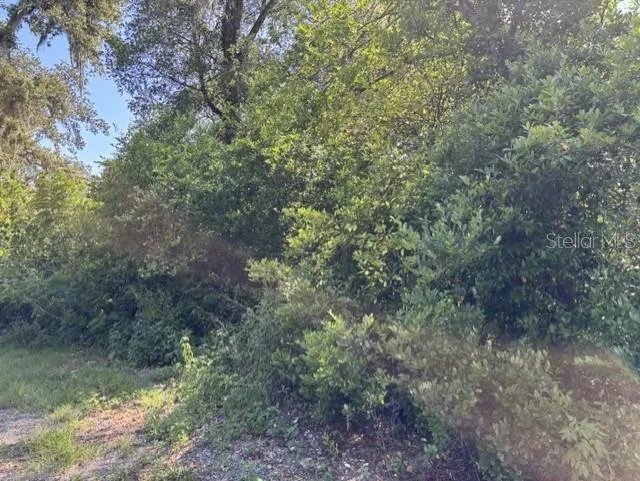 7157 GLORY ROAD Zephyrhills, FL 33540