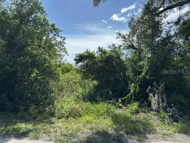 7157 GLORY ROAD Zephyrhills, FL 33540