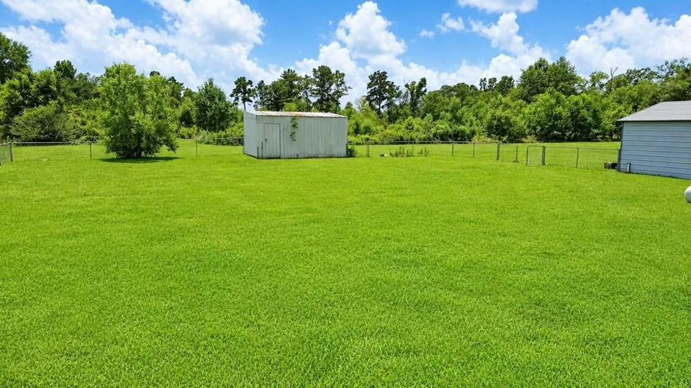 829 Fm 1004 W Kirbyville, TX 75956