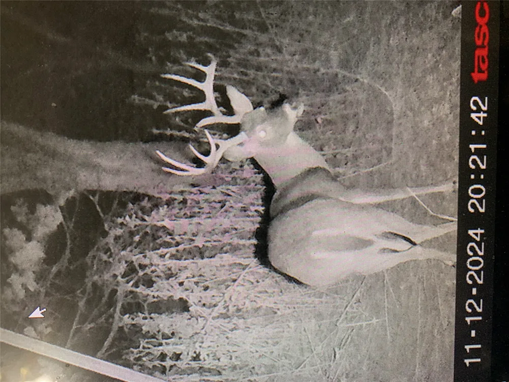 728 CR 1756 Lometa, TX 76853