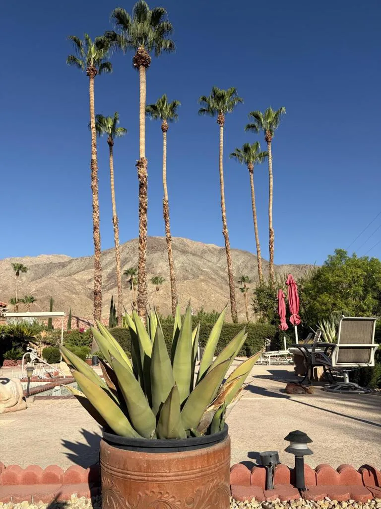 102 Chelsea Circle Palm Desert, CA 92260