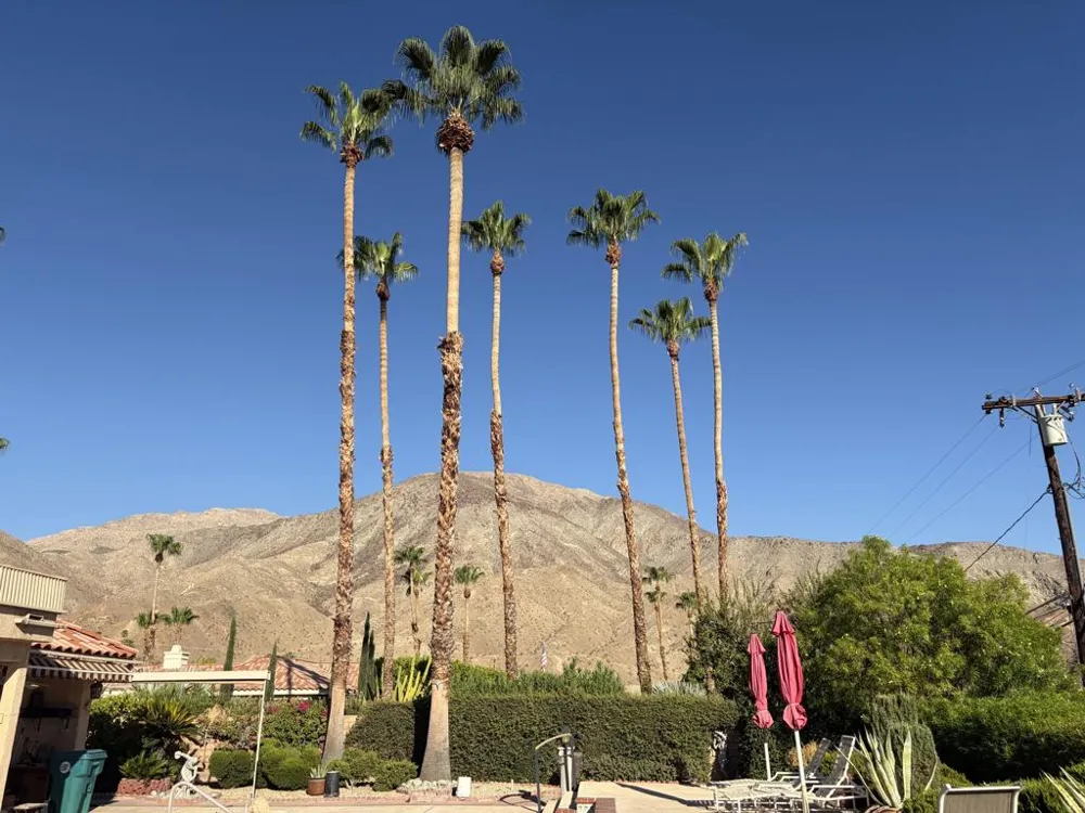 102 Chelsea Circle Palm Desert, CA 92260