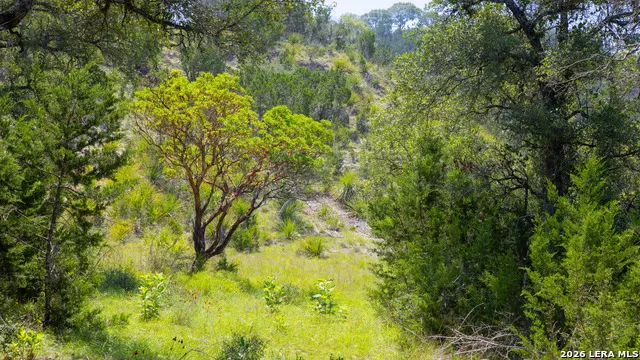 LOT 37 Blackbuck Trail Pipe Creek, TX 78063