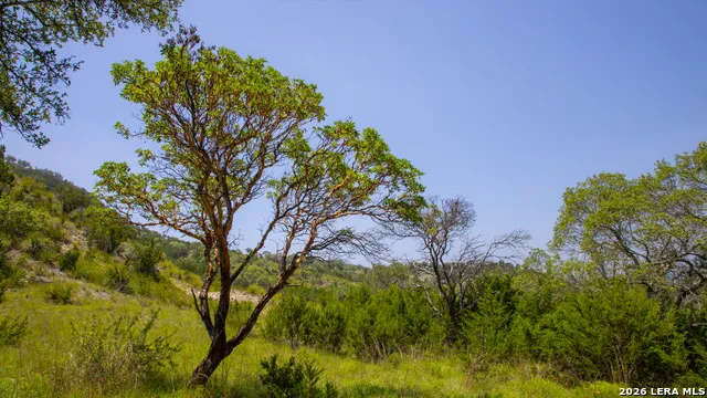 LOT 37 Blackbuck Trail Pipe Creek, TX 78063