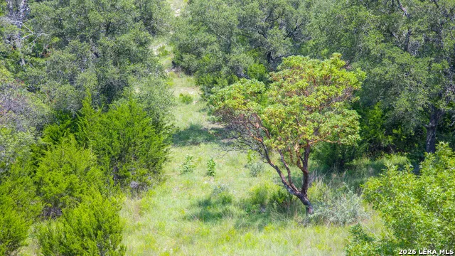 LOT 37 Blackbuck Trail Pipe Creek, TX 78063