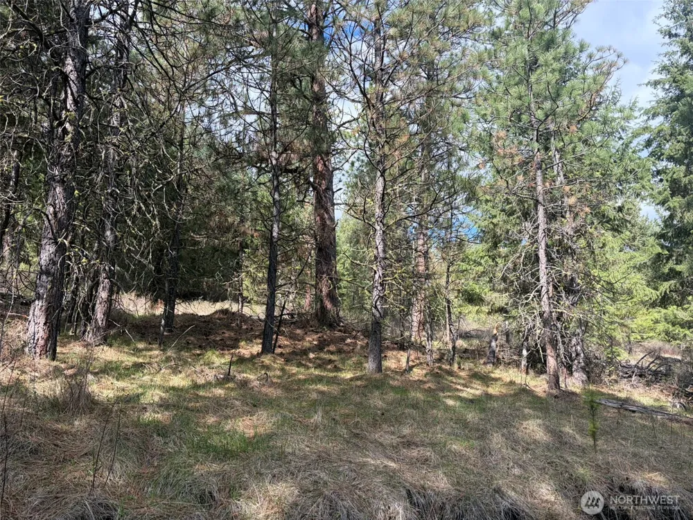 111 TBD E West Curlew Lake Road Republic, WA 99166