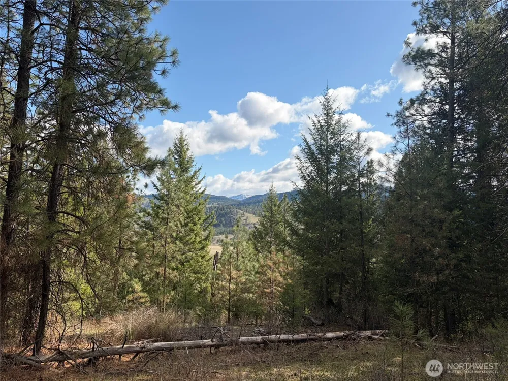 111 TBD E West Curlew Lake Road Republic, WA 99166