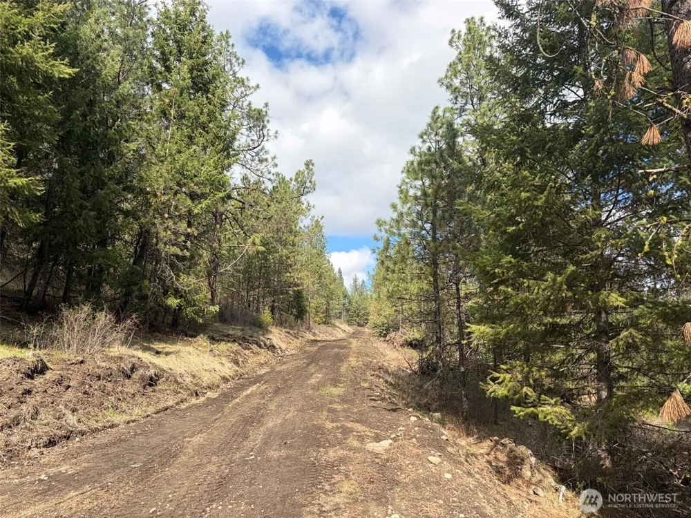 111 TBD E West Curlew Lake Road Republic, WA 99166