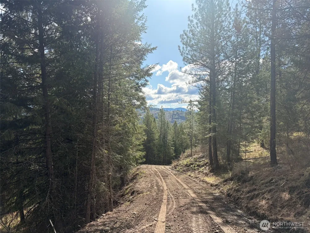 111 TBD E West Curlew Lake Road Republic, WA 99166