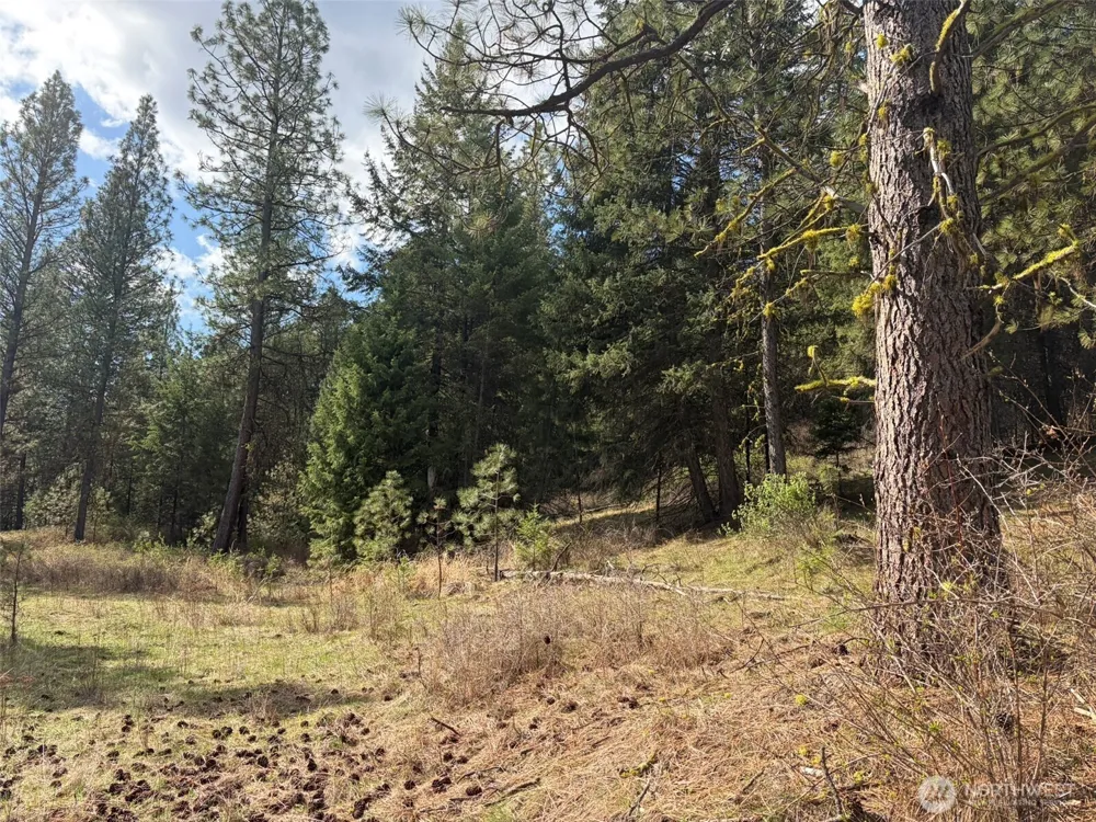 111 TBD E West Curlew Lake Road Republic, WA 99166
