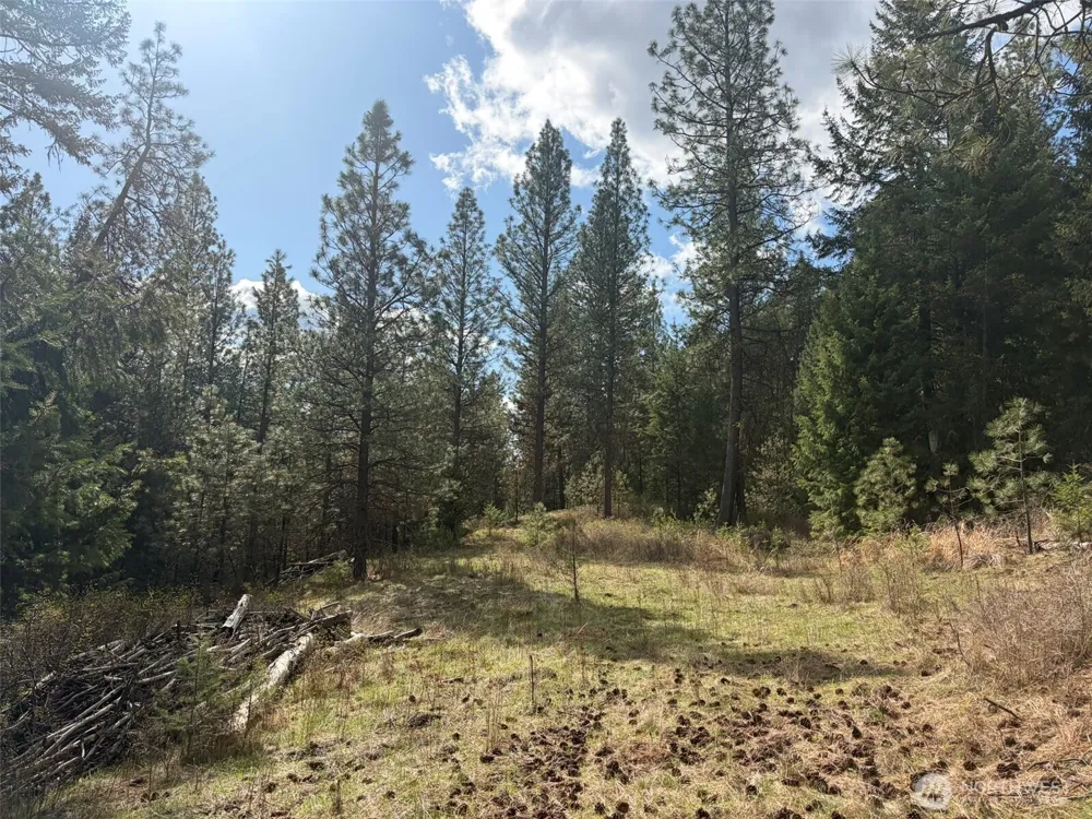 111 TBD E West Curlew Lake Road Republic, WA 99166
