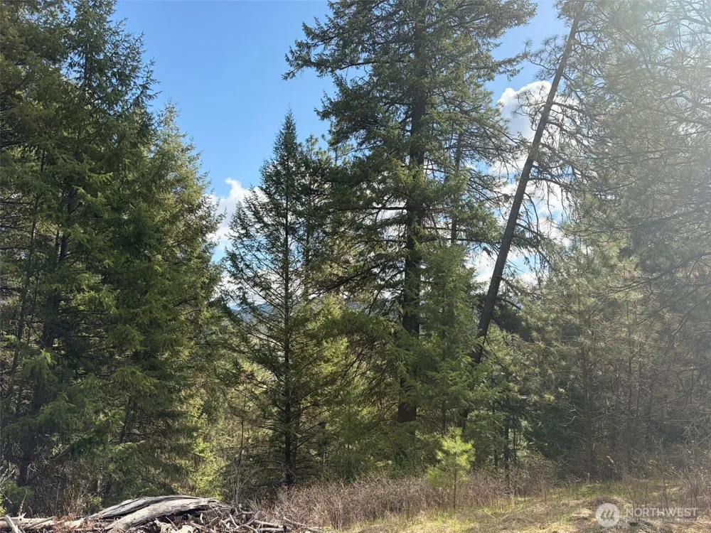 111 TBD E West Curlew Lake Road Republic, WA 99166