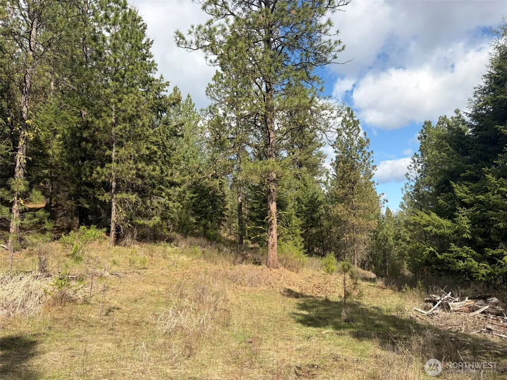 111 TBD E West Curlew Lake Road Republic, WA 99166