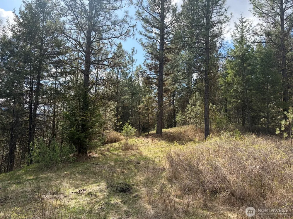 111 TBD E West Curlew Lake Road Republic, WA 99166