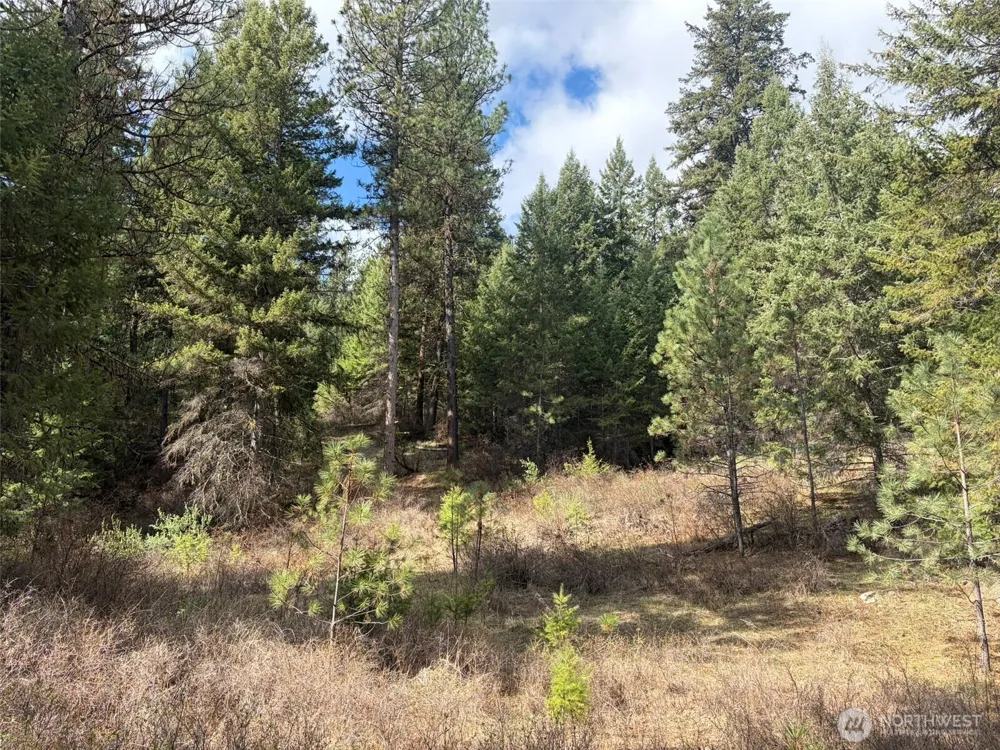 111 TBD E West Curlew Lake Road Republic, WA 99166