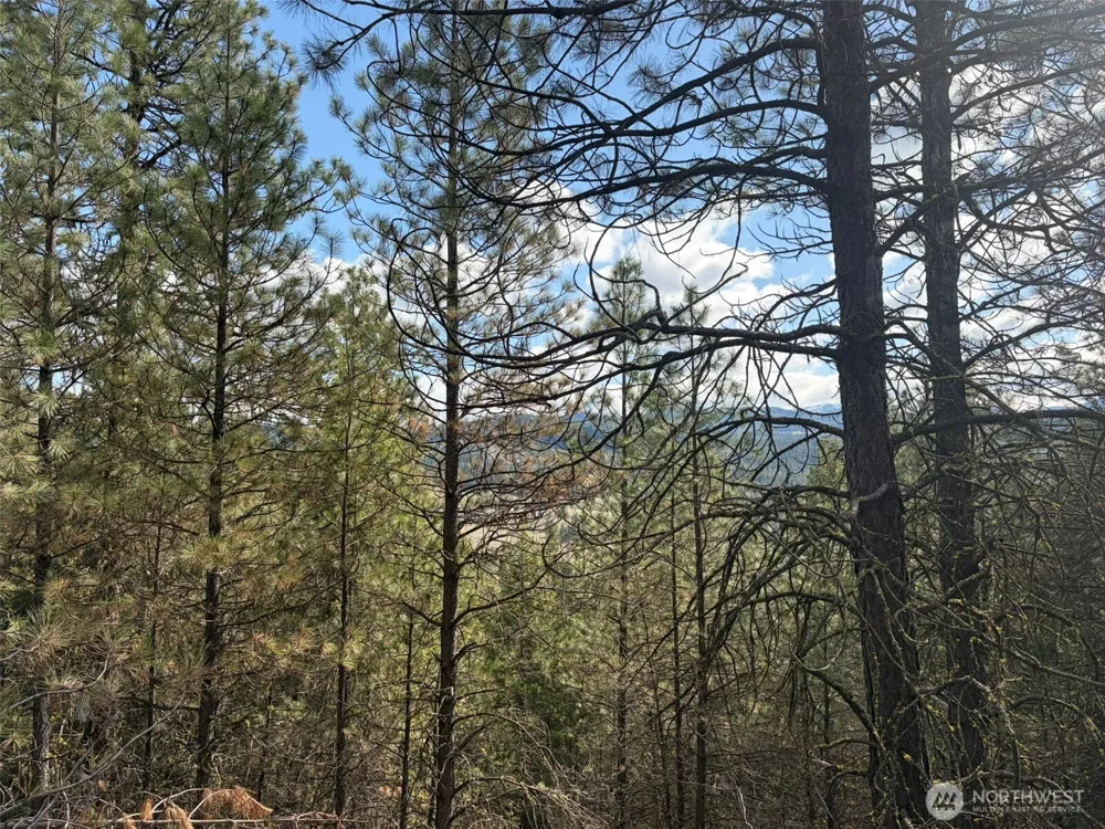 111 TBD E West Curlew Lake Road Republic, WA 99166
