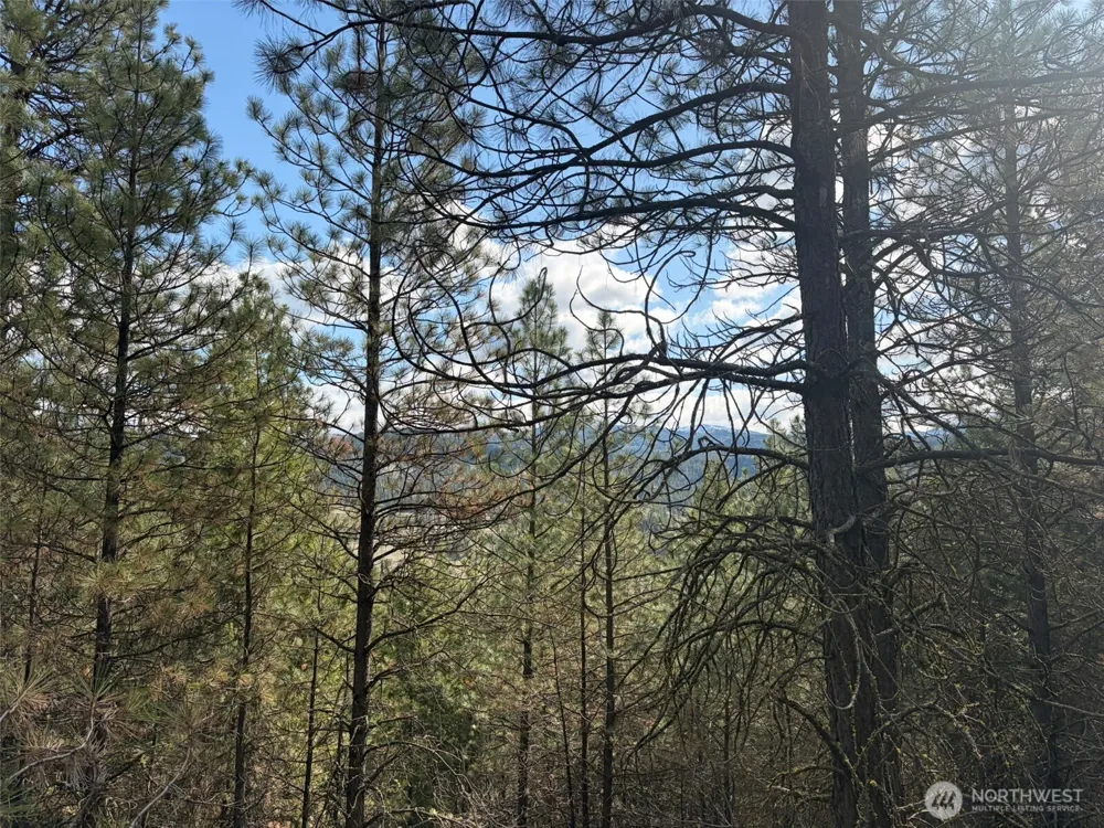111 TBD E West Curlew Lake Road Republic, WA 99166
