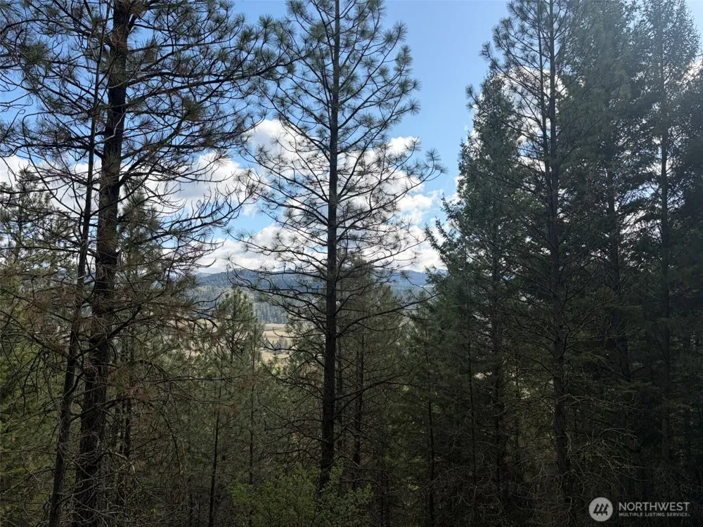 111 TBD E West Curlew Lake Road Republic, WA 99166
