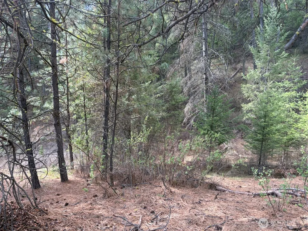 111 TBD E West Curlew Lake Road Republic, WA 99166