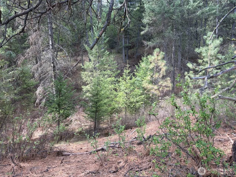 111 TBD E West Curlew Lake Road Republic, WA 99166