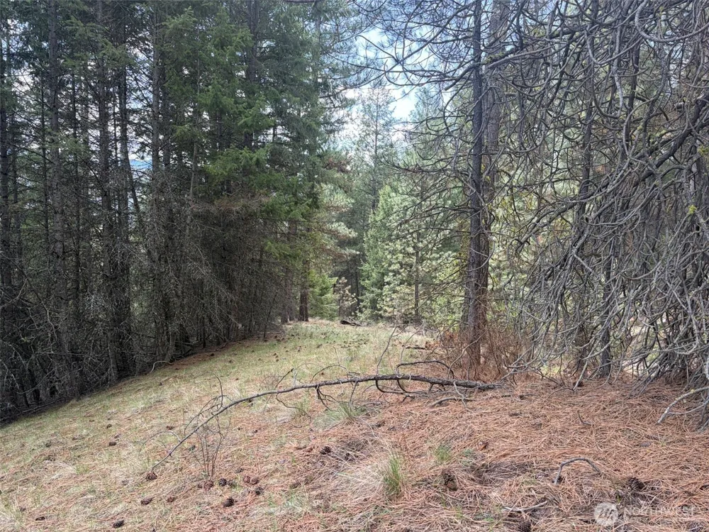 111 TBD E West Curlew Lake Road Republic, WA 99166