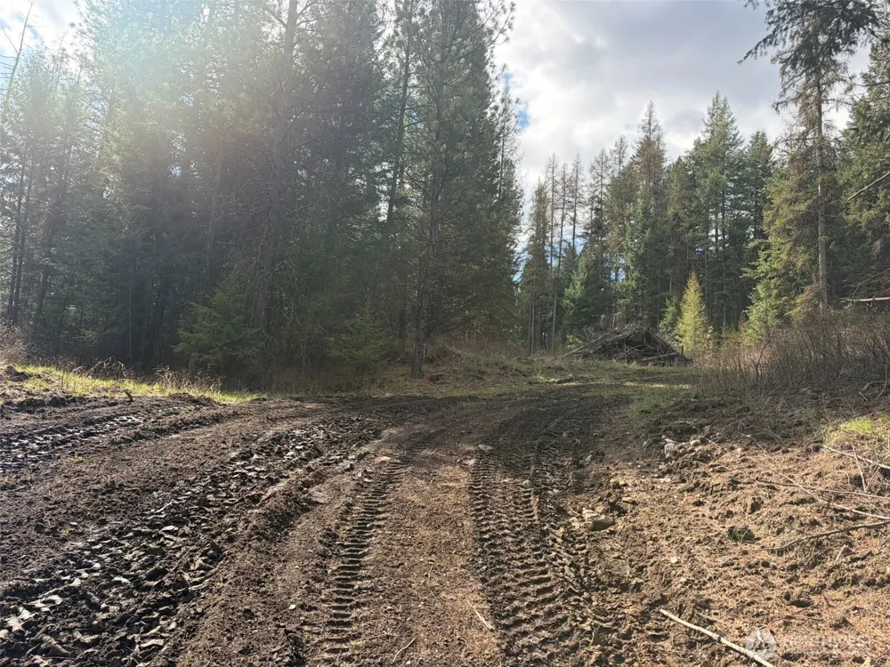 111 TBD E West Curlew Lake Road Republic, WA 99166