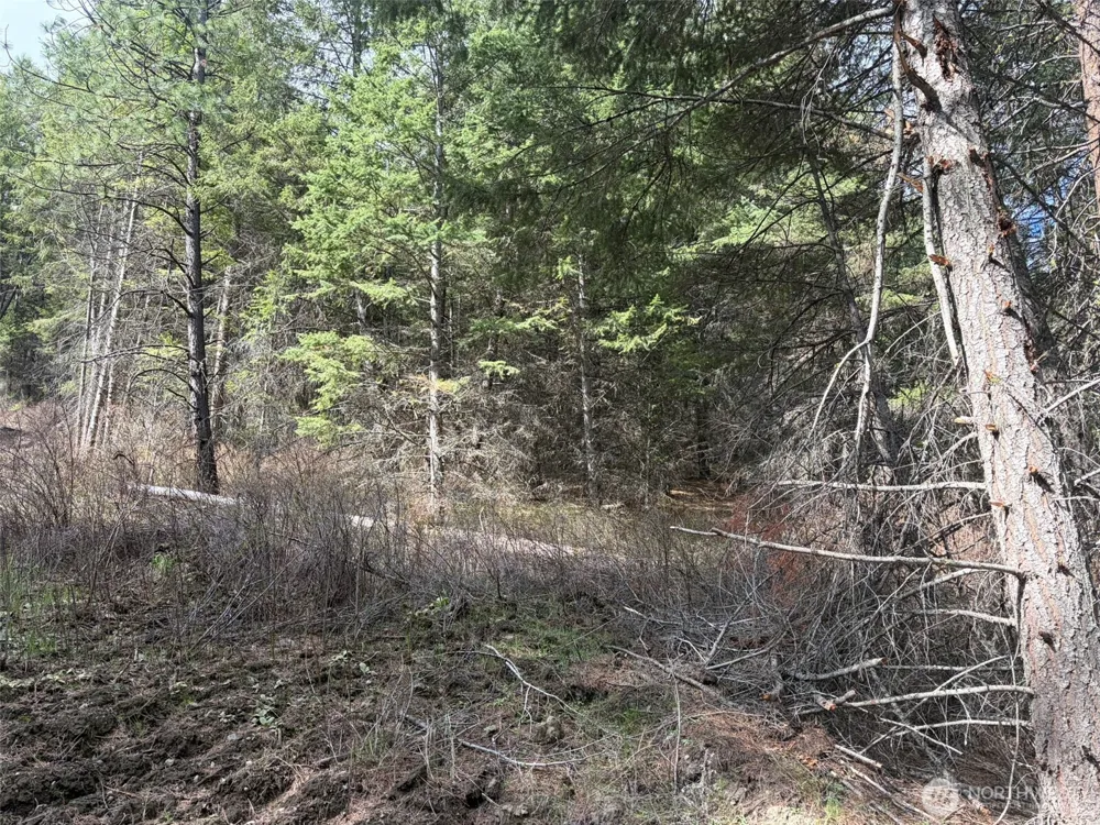 111 TBD E West Curlew Lake Road Republic, WA 99166