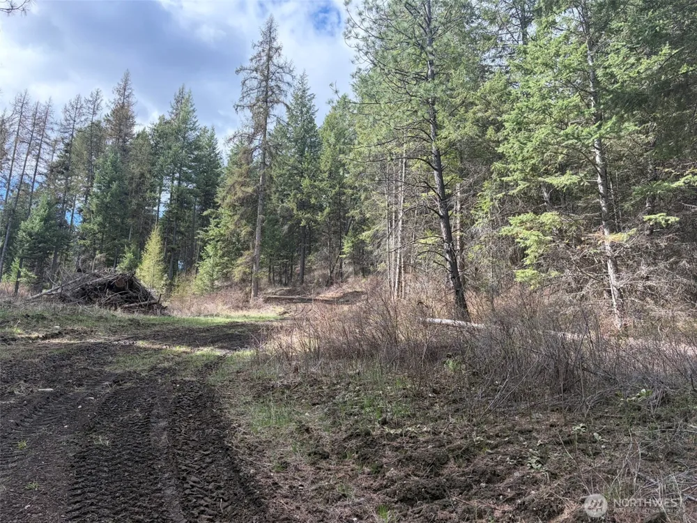 111 TBD E West Curlew Lake Road Republic, WA 99166