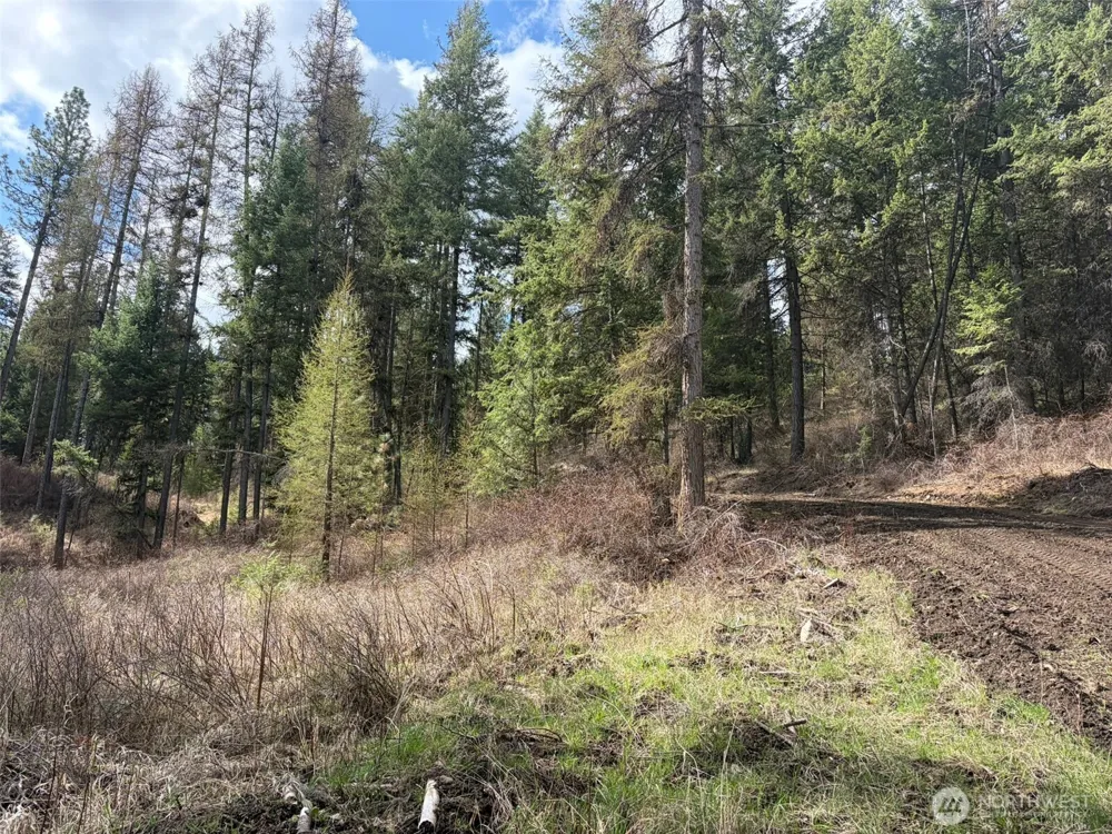 111 TBD E West Curlew Lake Road Republic, WA 99166
