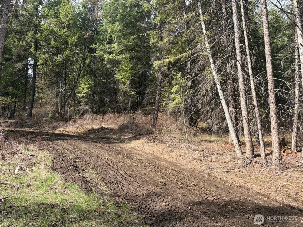 111 TBD E West Curlew Lake Road Republic, WA 99166