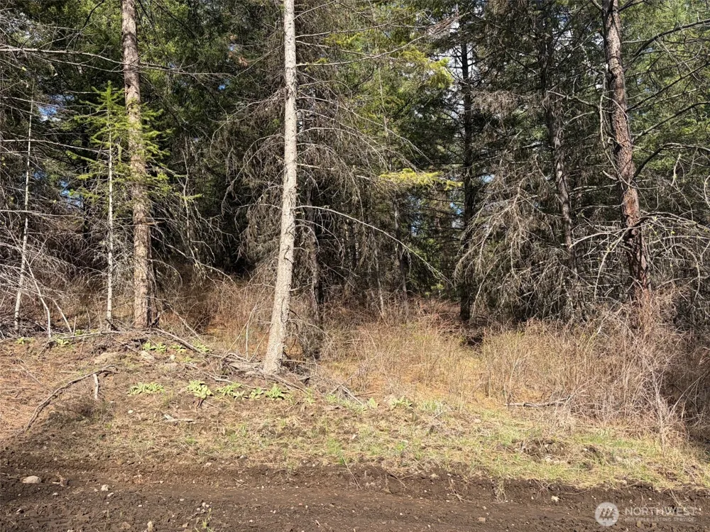 111 TBD E West Curlew Lake Road Republic, WA 99166