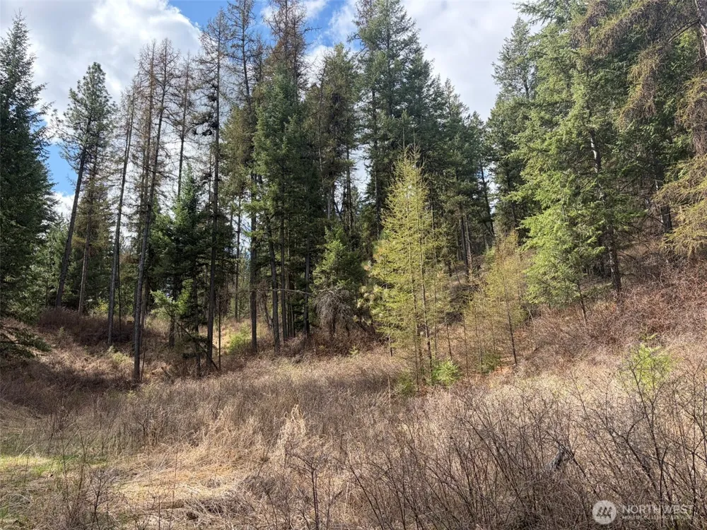 111 TBD E West Curlew Lake Road Republic, WA 99166
