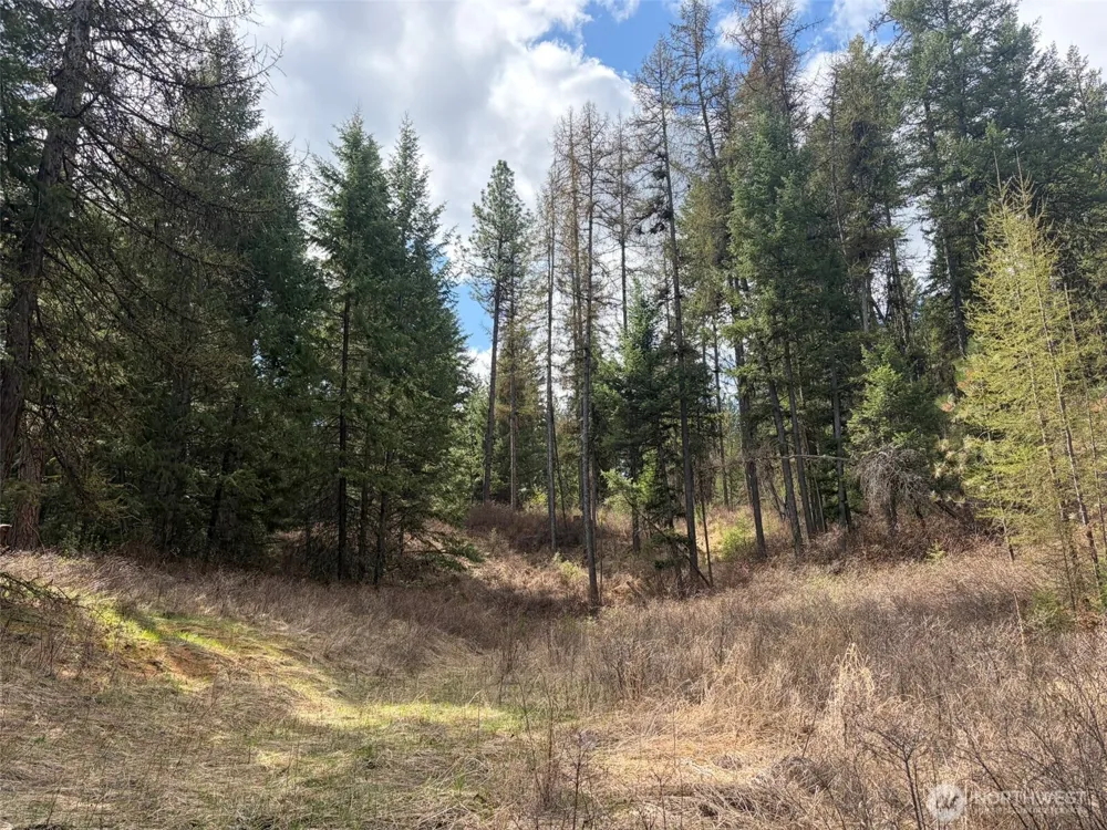 111 TBD E West Curlew Lake Road Republic, WA 99166