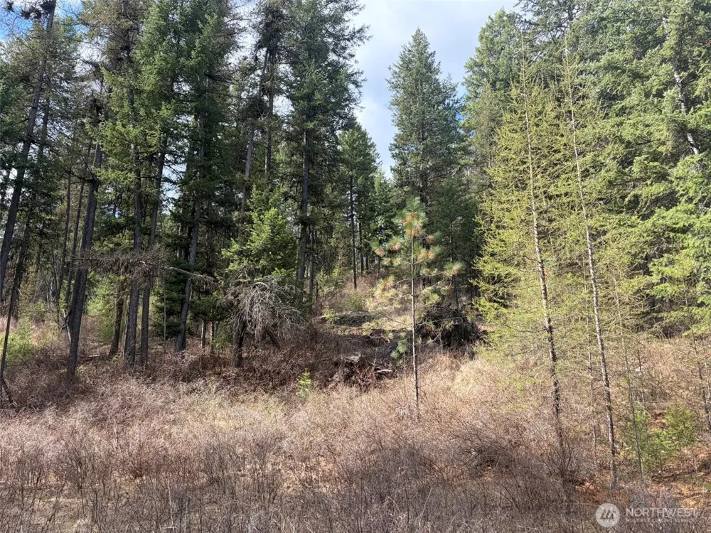 111 TBD E West Curlew Lake Road Republic, WA 99166