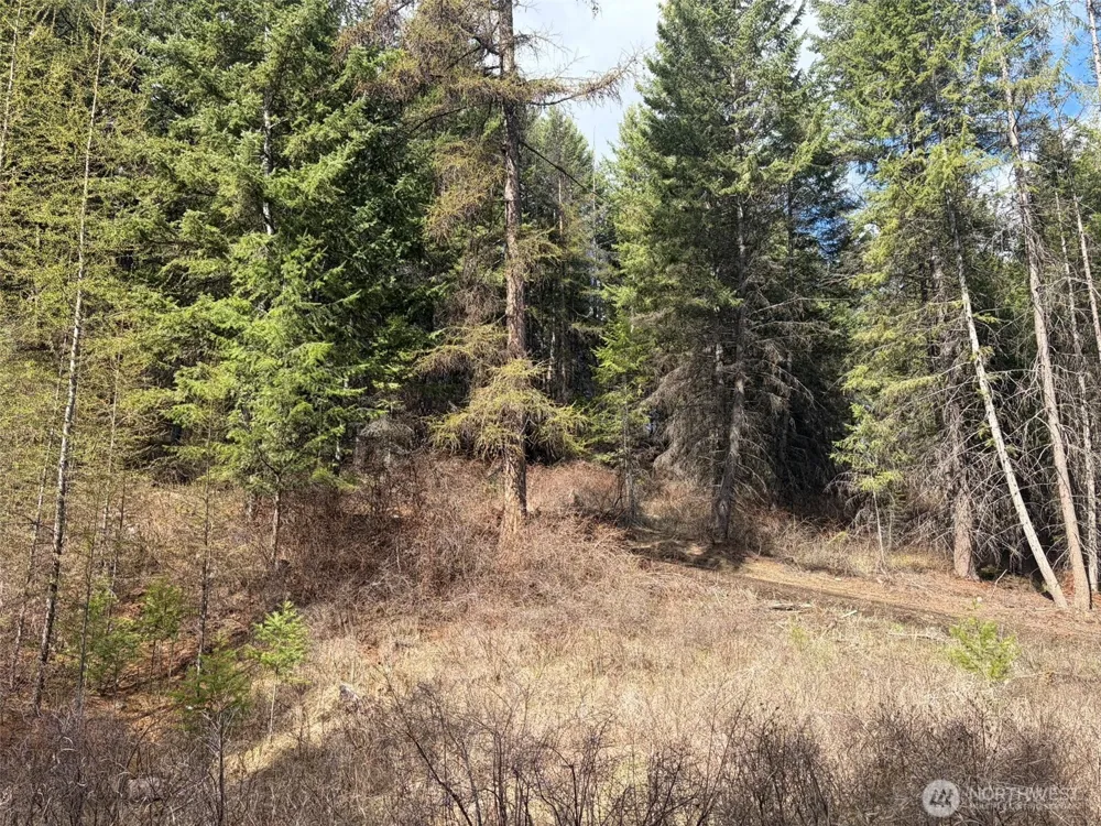 111 TBD E West Curlew Lake Road Republic, WA 99166