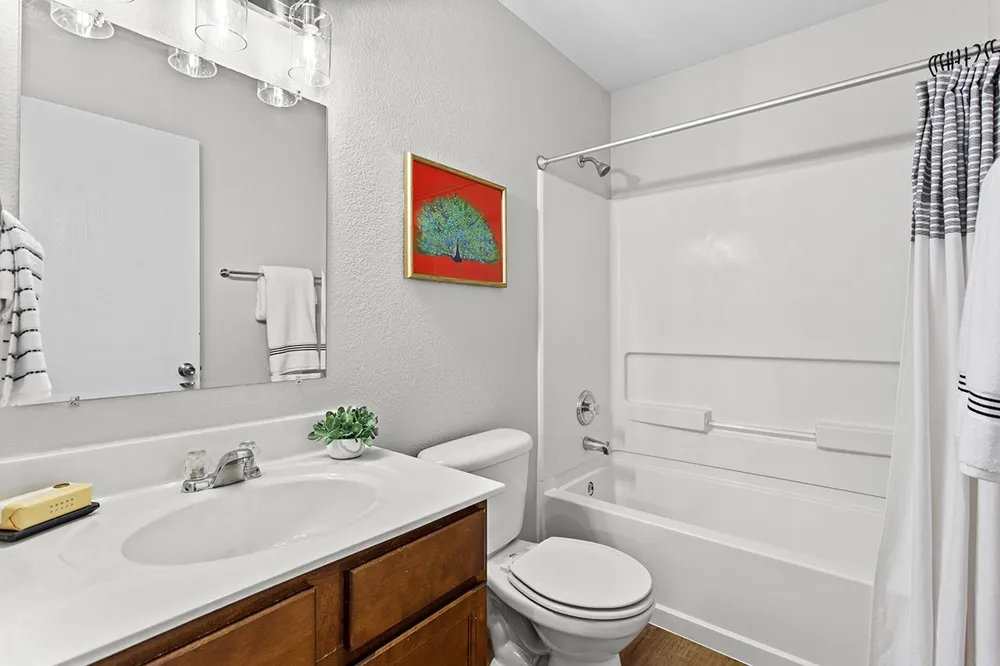 11328 Ashbrook Drive Manchaca, TX 78652
