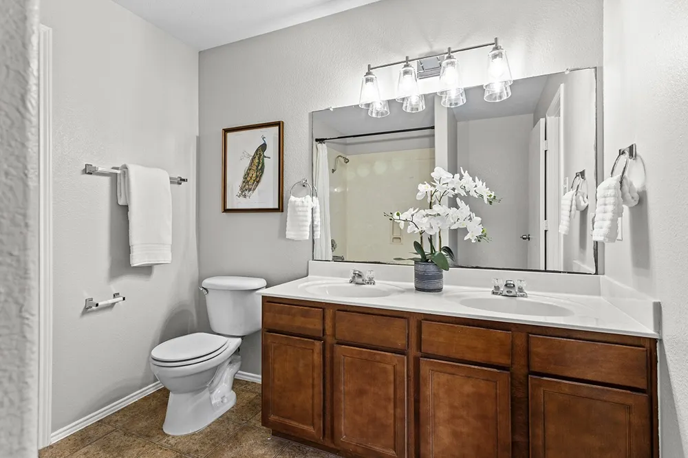 11328 Ashbrook Drive Manchaca, TX 78652